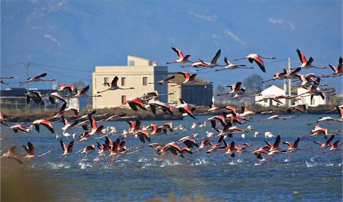 Вилла Lo Trabucador Casa Nueva En El Corazon Del Delta Эль-Побле-Ноу-дель-Дельта Экстерьер фото